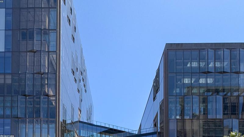 红果免费短剧网页版关于我们品牌形象展示
